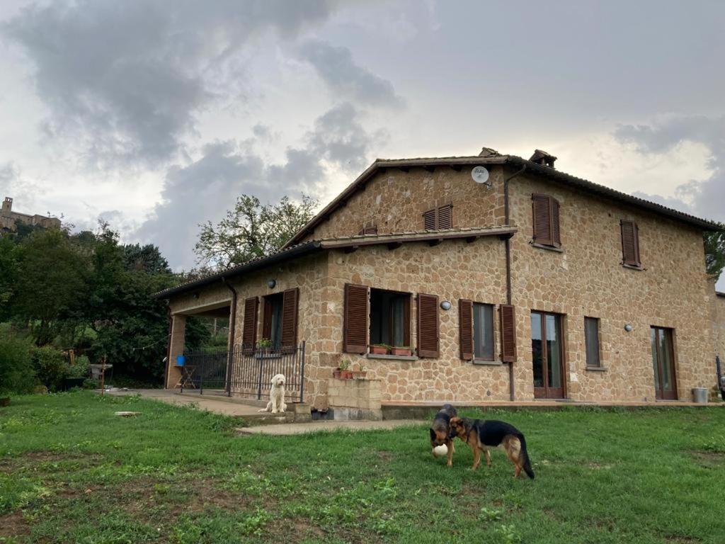 Hotel Casale Riorso Orvieto Zewnętrze zdjęcie